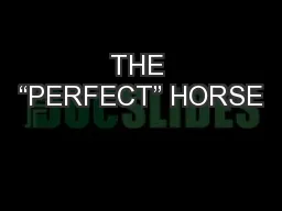THE “PERFECT” HORSE
