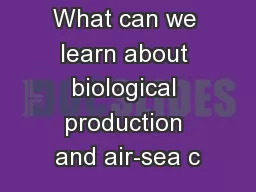 What can we learn about biological production and air-sea c