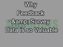 Why Feedback & Survey Data is so Valuable