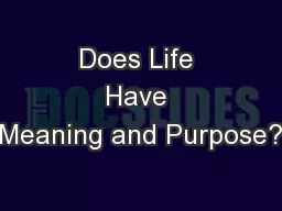 Does Life Have Meaning and Purpose?