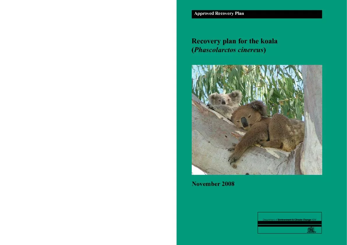 Recovery plan for the koala Phascolarctos cinereus