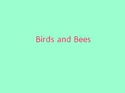 Birds and Bees