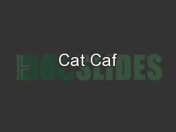Cat Caf
