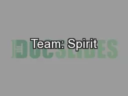Team: Spirit