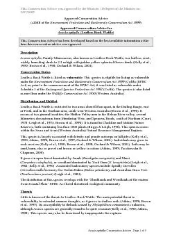 Acacia aphyllaConservation Advice - Page 1 of 3