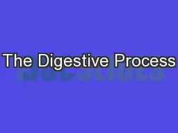 The Digestive Process