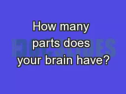 How many parts does your brain have?