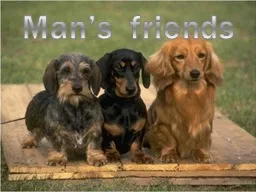 Man’s  friends