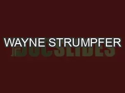 WAYNE STRUMPFER