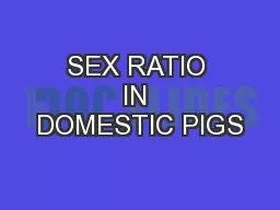 SEX RATIO IN DOMESTIC PIGS