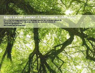 Black Locust Lumber: A Sustainable AlternativeSan Diego, November 1,