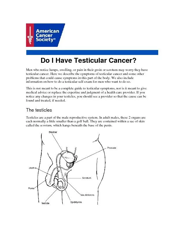 Do I Have Testicular Cancer? Men who notice lumps, swelling, or pain i