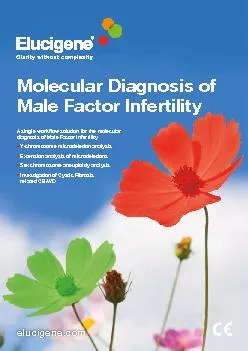 A single workow solution for the molecular diagnosis of Male Factor I
