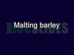 Malting barley