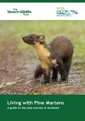 Living with Pine MartensA guide to the pine marten in Scotland
...