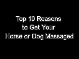 Top 10 Reasons to Get Your Horse or Dog Massaged