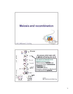Meiosis and recombination