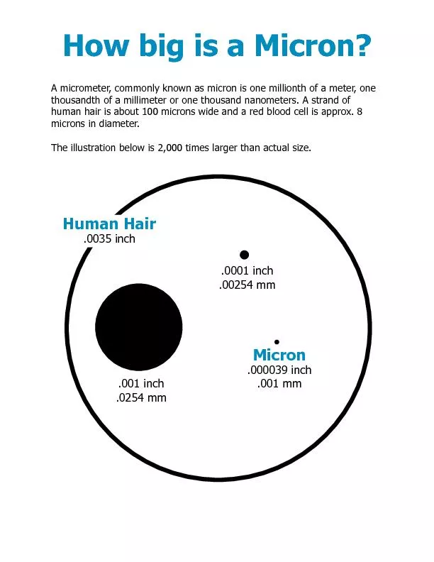 How big is a Micron?