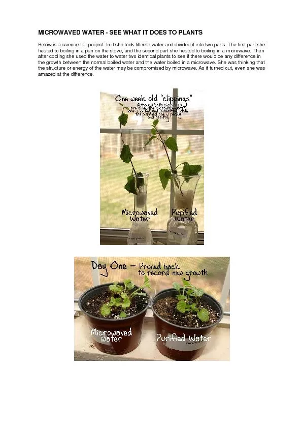 MICROWAVED WATER - SEE WHAT IT DOES TO PLANTS Below is a science fair