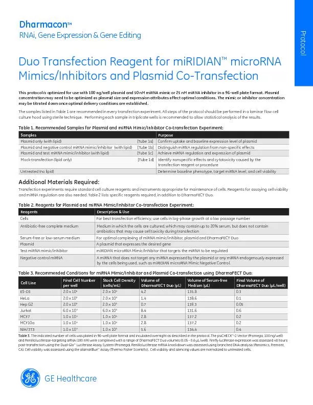 Duo Transfection Reagent for miRIDIAN microRNA Mimics/Inhibitors and P