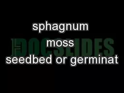 sphagnum moss seedbed or germinat