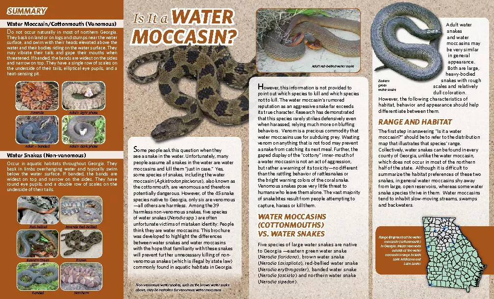Water Moccasin/Cottonmouth (Venomous)o not occur naturally in most of