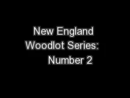 New England Woodlot Series:     Number 2