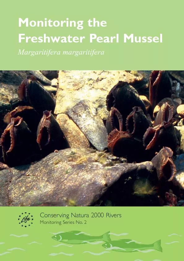Freshwater Pearl MusselMargaritifera margaritiferaConserving Natura 20