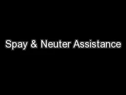 Spay & Neuter Assistance