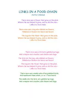 LINKS IN A FOOD CHAIN ~Author Unknown