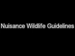 Nuisance Wildlife Guidelines
