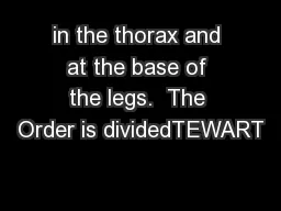 in the thorax and at the base of the legs.  The Order is dividedTEWART