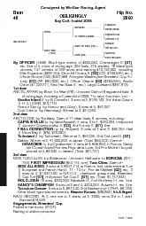 Consigned by WinStar Racing,AgentOBLIGINGLYBay Colt;foaled 2006
...