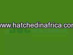 www.hatchedinafrica.com