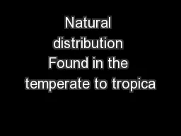 Natural distribution Found in the temperate to tropica