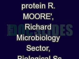 immunity protein R. MOORE', Richard Microbiology Sector, Biological Sc