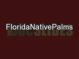 FloridaNativePalms