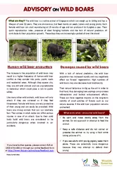 The increase in the population of wild boars may resul