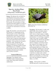 Species Action Plan Bog Turtle Natural Diversity Secti