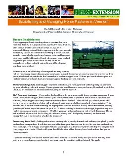 Establishing and Managing Horse Pastures in Vermont