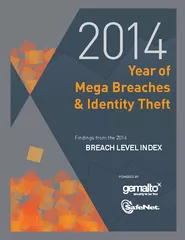 Year of Mega Breaches  Identity Theft BREACH LEVEL IN