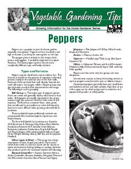 Peppers are a popular crop in the home garden,