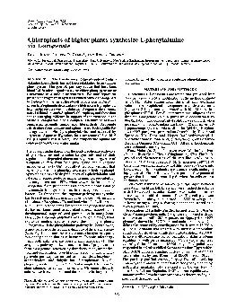 Proc.Nati.Acad.Sci.USAVol.83,pp.7231-7235,October1986BiochemistryChlor
