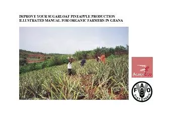 IMPROVE YOUR SUGARLOAF PINEAPPLE PRODUCTION ILLUSTRATED MANUAL FOR ORG