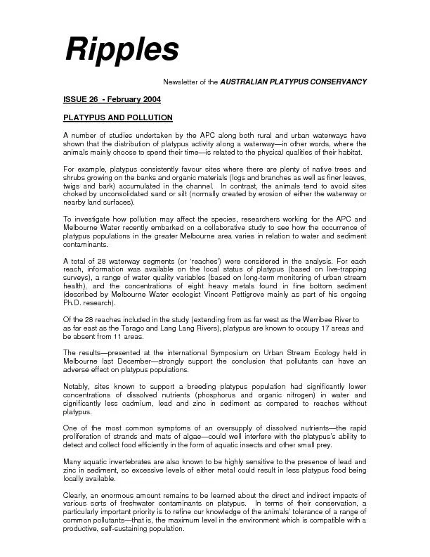 RipplesNewsletter of the AUSTRALIAN PLATYPUS CONSERVANCY ISSUE 26  - F