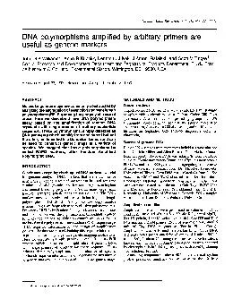 NucleicAcidsResearch,Vol.18,No.226531DNApolymorphismsamplifiedbyarbitr