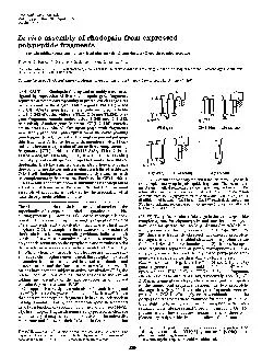 Proc.Natl.Acad.Sci.USAVol.92,pp.3204-3208,April1995BiochemistryInvivoa
