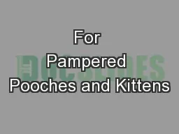 For Pampered Pooches and Kittens