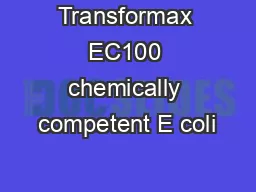 Transformax EC100 chemically competent E coli