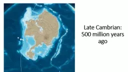 Late Cambrian: 500 million years ago